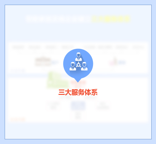 三大服務(wù)體系