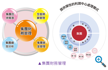 集團財務(wù)管理